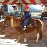 Pony Ride Rentals in Ohio