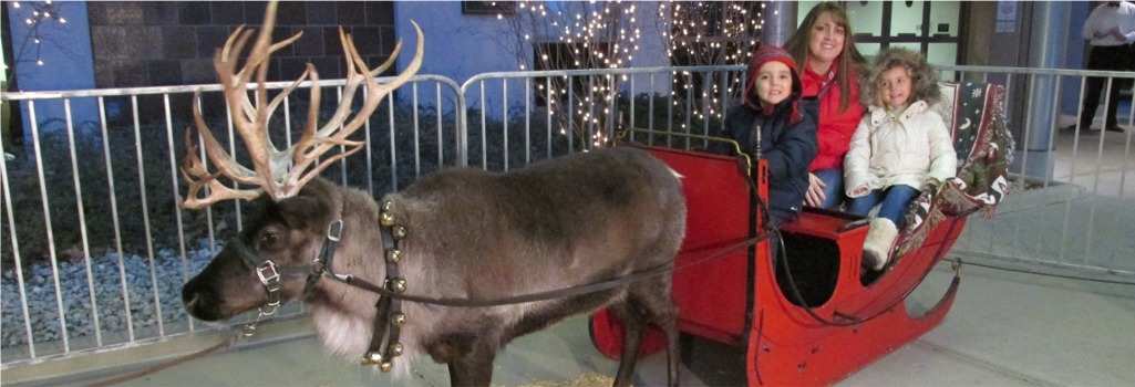 Christmas Reindeer Rentals in Ohio - Holiday Nativity Displays | Jungle